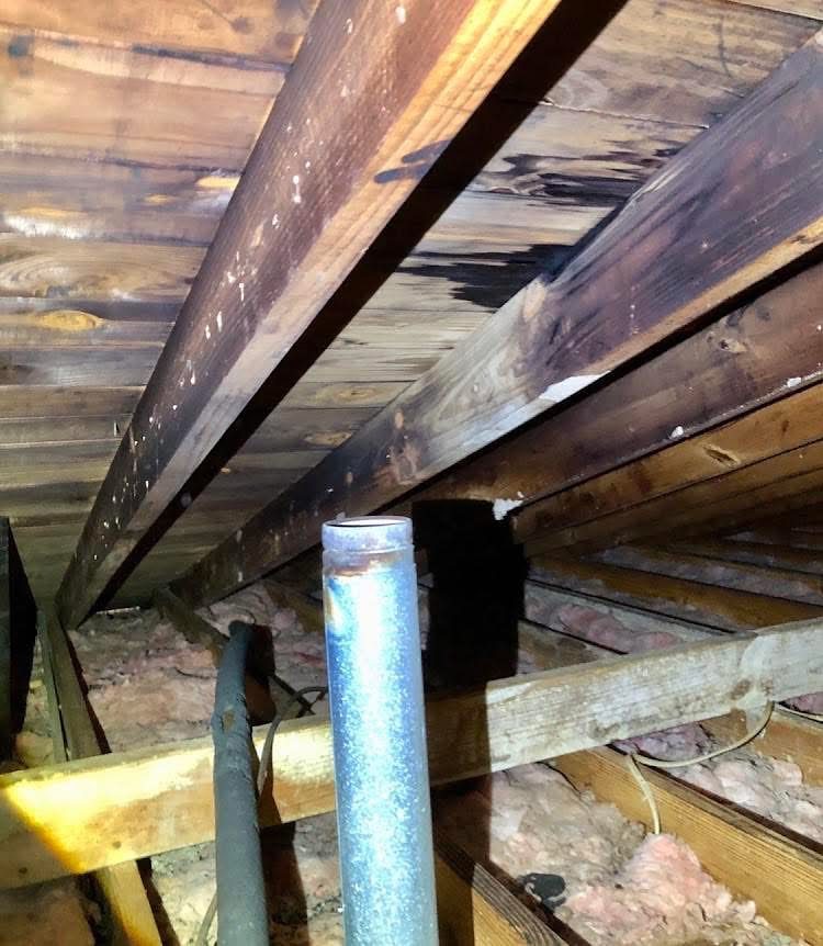 Deteriorated floor framing photographed from the crawlspace
