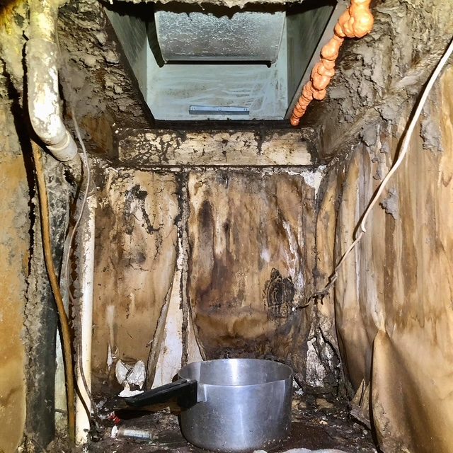 Active water intrusion — heavy staining and a pan set to catch the drip