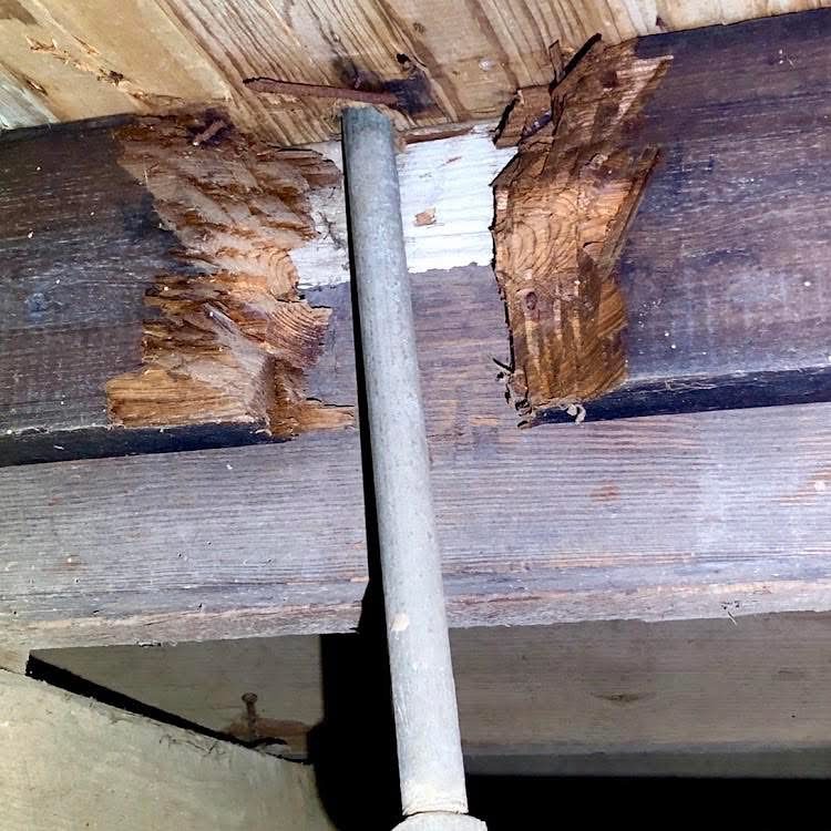 Water-damaged subfloor and framing at a plumbing penetration
